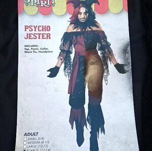 Women's Two-Tone Jester Costume XL